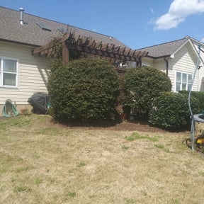 Bush Trimming by Ty-D Landscaping LLC reviewed on June 14, 2022
