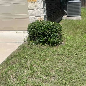 Bush Trimming by Mm lawn care llc reviewed on November 28, 2023
