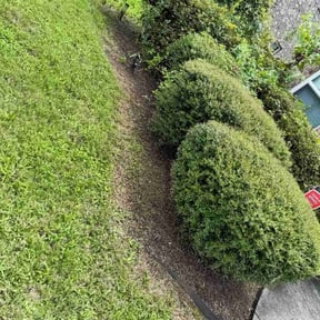 Flower Bed Weeding by Supreme Lawn Care and Junk Removal reviewed on December 8, 2023