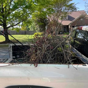 Cleanups by Morel Lawn & tree service reviewed on May 15, 2022