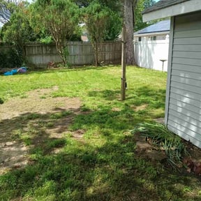 Leaf Removal by Aces reviewed on August 6, 2025