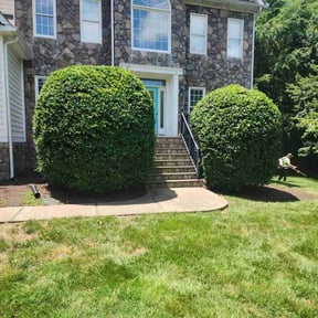 Bush Trimming by Dortch Demo and cleanup reviewed on July 5, 2022