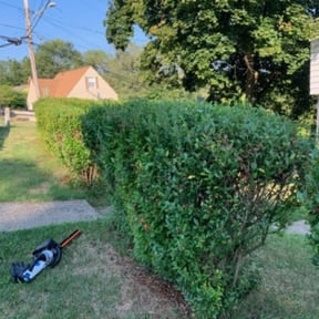 Bush Trimming by ECG Lawn Care reviewed on June 13, 2022