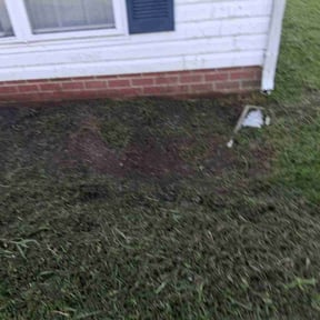 Flower Bed Weeding by Stephenson's Landscaping reviewed on November 4, 2022
