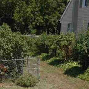 Bush Trimming by JNGLandscaping LLC reviewed on June 5, 2025