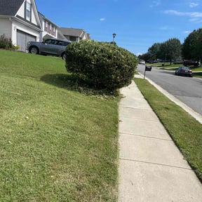 Bush Trimming by Hargett lawn services reviewed on November 26, 2024