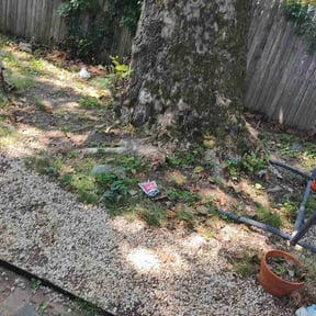 Flower Bed Weeding by JDM Yard Services and More llc reviewed on November 4, 2022