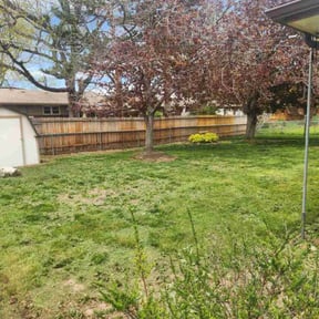 Cleanups by 5280 Lawns Llc reviewed on July 22, 2025