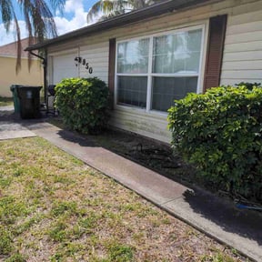 Bush Trimming by Pink Pearl Landscaping reviewed on July 31, 2025