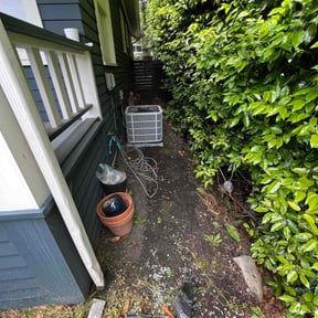 Leaf Removal by Christopher MowPro reviewed on June 18, 2025