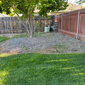 Bush Trimming by AMERICA'S BEST LAWN SERVICE LLC reviewed on November 19, 2021
