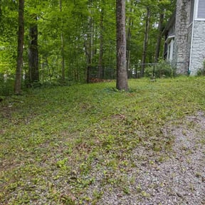 Bush Trimming by Contreras Outdoors reviewed on November 26, 2024