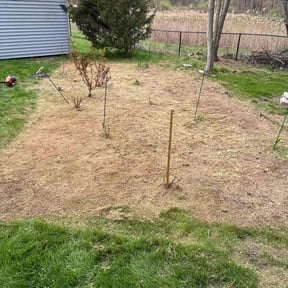 Flower Bed Weeding by D. Nelsons Lawn Care, LLC reviewed on August 9, 2022