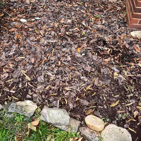 Flower Bed Weeding by Blackamigollc reviewed on June 21, 2022