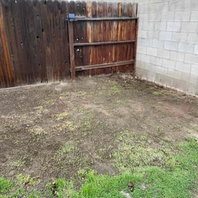 Leaf Removal by Guillen Lawn Care reviewed on March 25, 2025