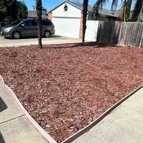 Cleanups by Safe Grow reviewed on November 11, 2022