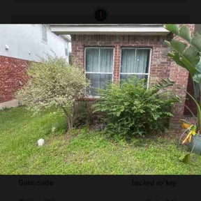Bush Trimming by Precision Cuts Lawn Care reviewed on June 27, 2025
