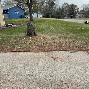 Leaf Removal by Competitive Edge Field & Tree reviewed on August 1, 2022