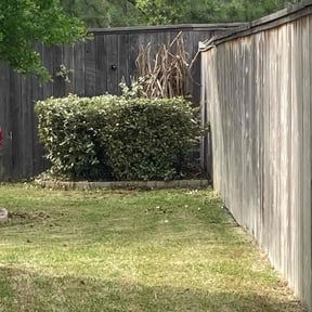 Bush Trimming by EP Remodeling LLC reviewed on March 21, 2025