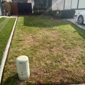 Leaf Removal by Elite lawncare reviewed on October 11, 2021