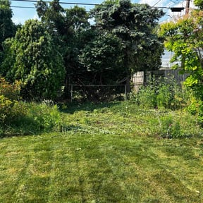 Landscaping by Heavy Hand Landscaping reviewed on May 15, 2025