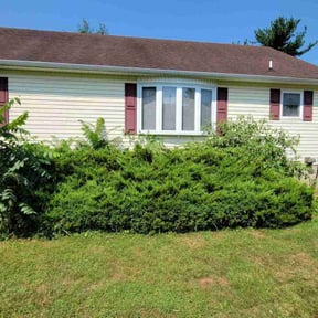 Bush Trimming by Morris Landscaping Services reviewed on September 17, 2021