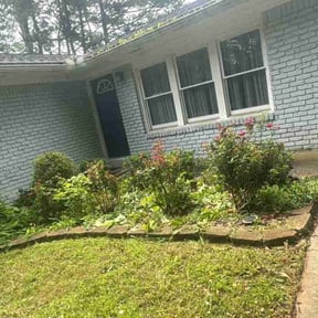 Bush Trimming by Coates Cutz Complete Lawn Care reviewed on May 25, 2022
