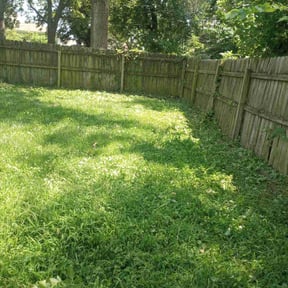 Bush Trimming by Mora Brothers Tree and Landscaping reviewed on June 7, 2022