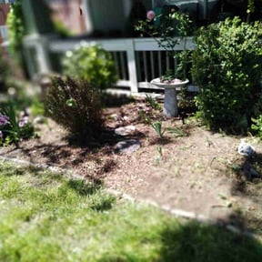 Flower Bed Weeding by Green Akers reviewed on September 7, 2021