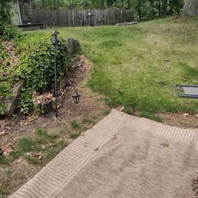 Cleanups by Corpratecuts reviewed on March 2, 2022