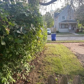 Bush Trimming by Blue Lagoon Lawn Service reviewed on April 14, 2022