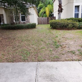 Leaf Removal by Minnesota quality cut lawn service LLC reviewed on July 11, 2022