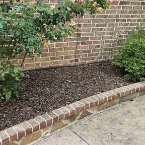 Flower Bed Weeding by Rearden Landscape and Maintenance reviewed on September 17, 2024