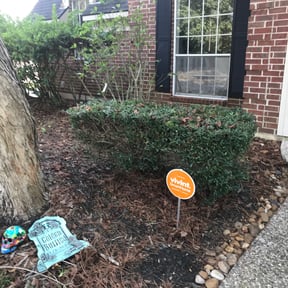 Bush Trimming by Alexis perez reviewed on March 8, 2025