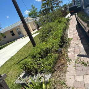 Bush Trimming by A+ Lamonds lawn&landscape reviewed on July 18, 2022