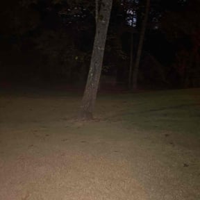 Leaf Removal by Love Kustomz Lawn Service reviewed on August 4, 2022