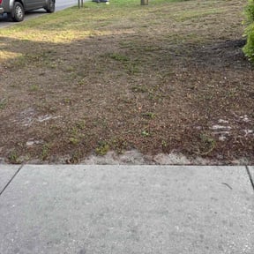 Leaf Removal by Ethan lawn care reviewed on August 9, 2022