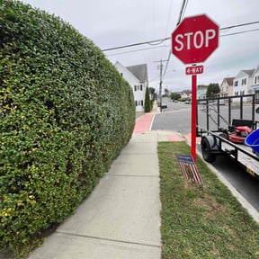 Bush Trimming by Precise Lawn Care reviewed on June 1, 2022