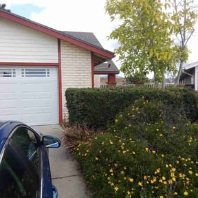 Bush Trimming by A and J Landscaping reviewed on September 10, 2021