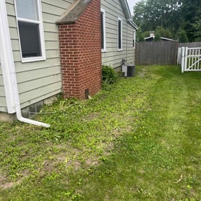 Bush Trimming by Chuyin's Lawn Care LLC reviewed on January 20, 2022