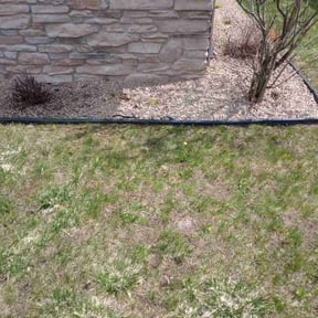 Bush Trimming by Lawncare reviewed on June 30, 2025