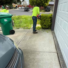 Bush Trimming by Linares Lawn Care reviewed on February 28, 2025