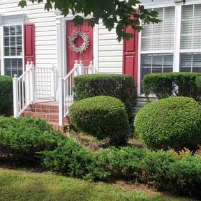 Bush Trimming by J’s Lawn Care reviewed on July 28, 2022