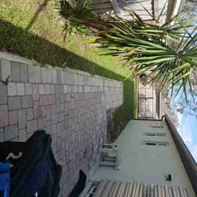 Leaf Removal by Campbell's lawns reviewed on August 27, 2024