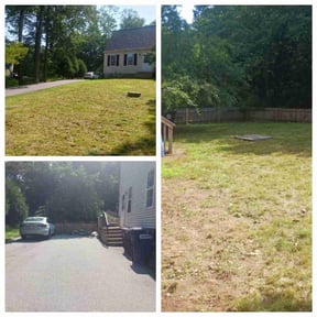 Leaf Removal by Field of Green lawn and Landscape reviewed on July 6, 2022