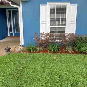 Bush Trimming by Primos Grow&Mow reviewed on September 22, 2024