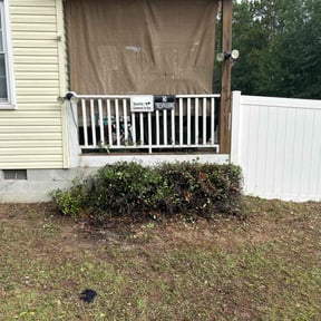 Bush Trimming by Rid of it reviewed on February 4, 2025