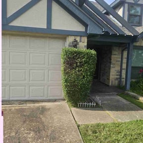 Bush Trimming by Enclave Landscape Management reviewed on June 16, 2022