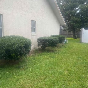 Bush Trimming by TorresLawnservice reviewed on July 23, 2022
