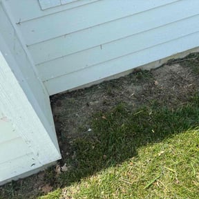 Leaf Removal by AG Lawn &amp; Services reviewed on May 9, 2025